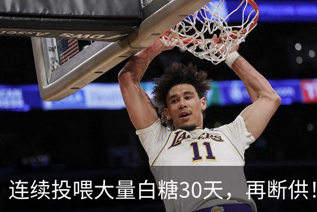 连续投喂大量白糖30天，再断供！国外网红扮“蚂蚁天神”整蛊野生蚁群